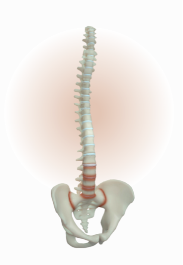 Early stage includes inflammation of both SIJ and spine causing pathological changes