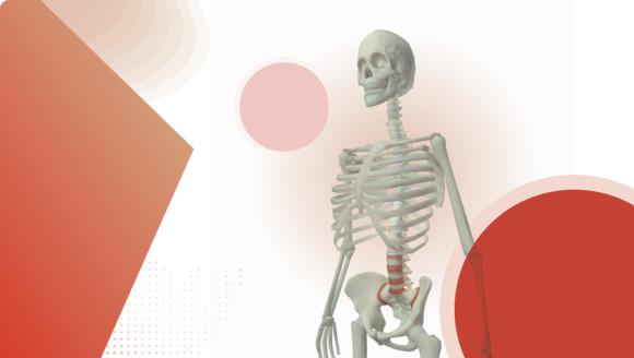 Axial Spondyloarthritis (AS,nr-axSpA) 3D Explorer