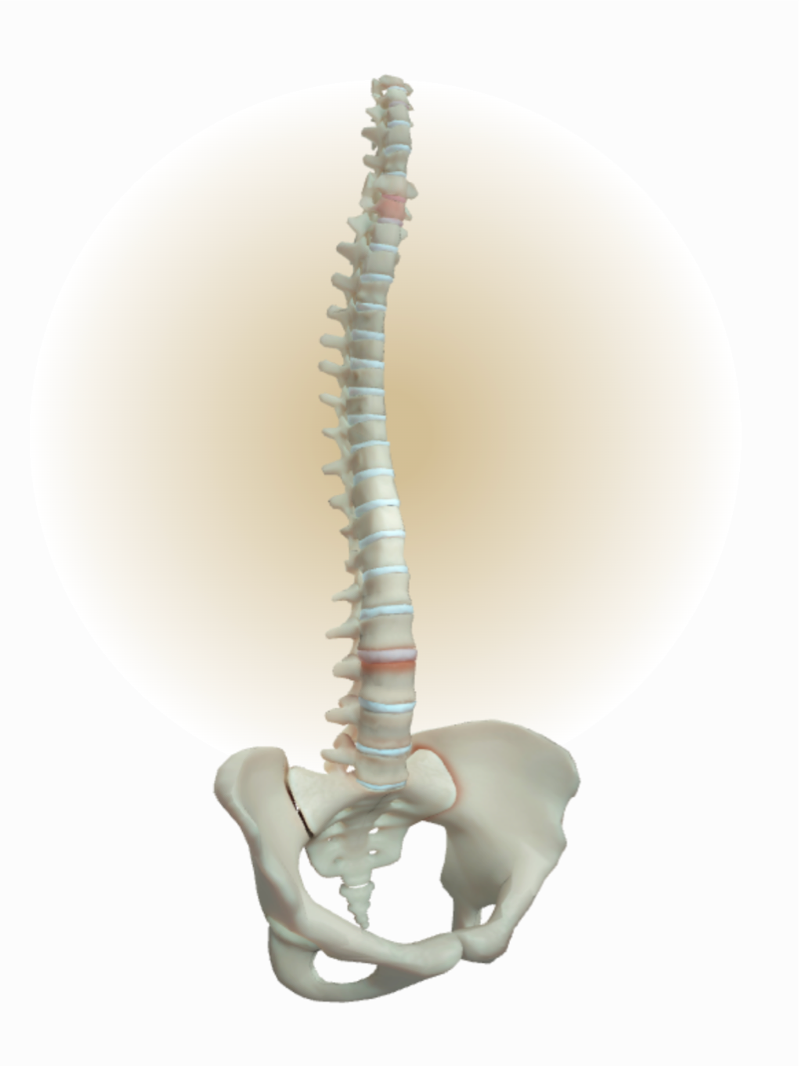 Skeletal changes in nr-axSpA