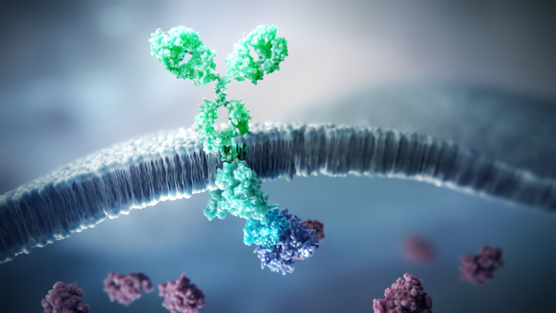 Understanding Reversible Bruton Tyrosine Kinase (BTK) Inhibition in B Cell Malignancies